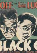 The Black Cat (1934) Poster #2 Thumbnail
