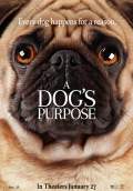 A Dog's Purpose (2017) Poster #2 Thumbnail