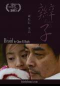 Braid (Bian Zi) (2011) Poster #1 Thumbnail