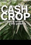 Cash Crop (2010) Poster #2 Thumbnail