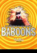 My Neighbourhood Has Been Overrun by Baboons (2010) Poster #1 Thumbnail