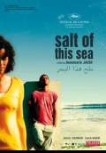 Salt of This Sea (Milh Hadha al-Bahr) (2010) Poster #1 Thumbnail