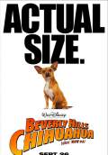Beverly Hills Chihuahua (2008) Poster #4 Thumbnail