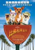 Beverly Hills Chihuahua (2008) Poster #5 Thumbnail