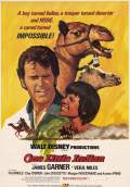 One Little Indian (1973) Poster #1 Thumbnail