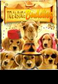 Treasure Buddies (2012) Poster #1 Thumbnail