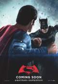 Batman v Superman: Dawn of Justice (2016) Poster #10 Thumbnail