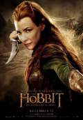 The Hobbit: The Desolation of Smaug (2013) Poster #13 Thumbnail