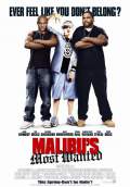 Malibu's Most Wanted (2003) Poster #1 Thumbnail