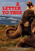 A Letter to True (2004) Poster #1 Thumbnail