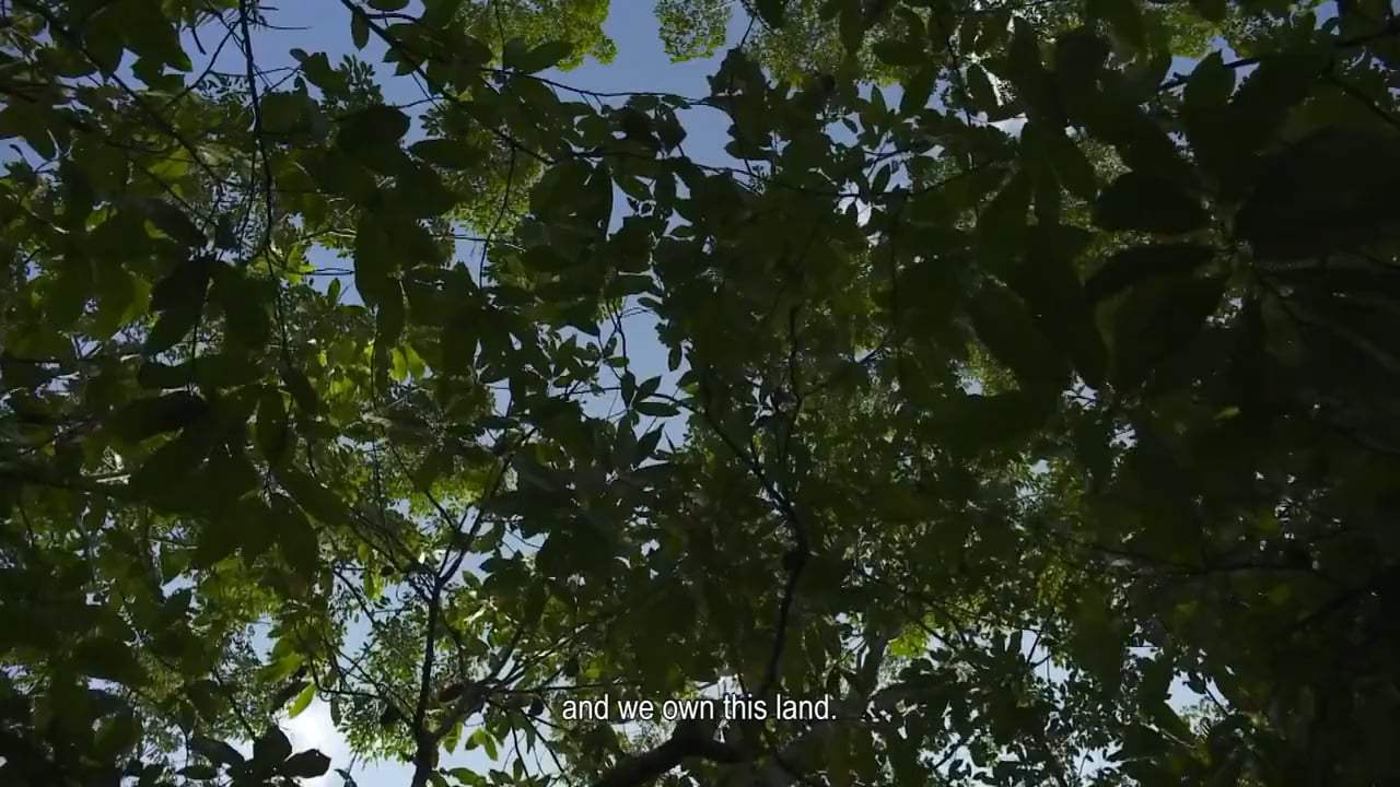 Eternal Amazon Trailer (2012) Screen Capture #2