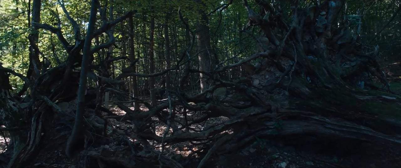It Comes at Night (2017) - Sees Something Screen Capture #4