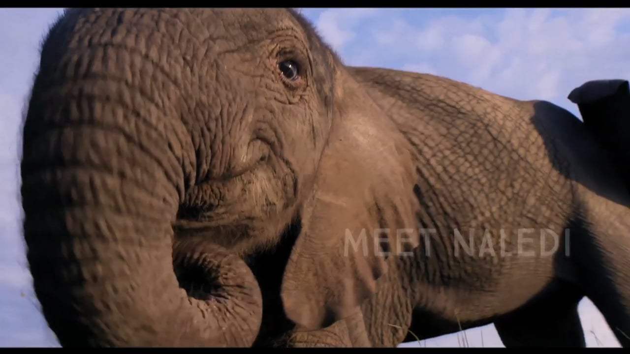 Naledi: A Baby Elephant's Tale Trailer (2017) Screen Capture #1