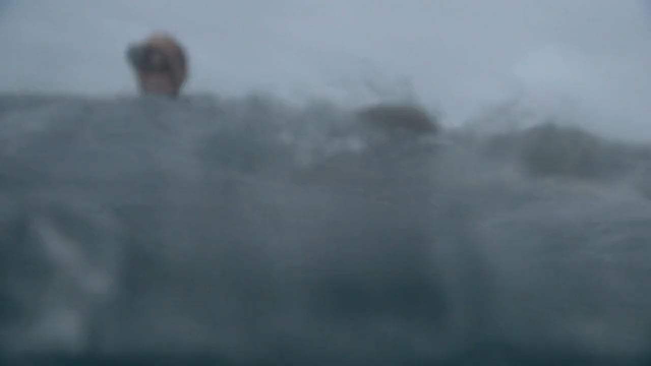 Open Water 3: Cage Dive (2017) - Hit by Wave Screen Capture #3