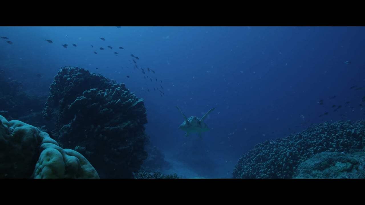 Blue Trailer (2017) Screen Capture #3