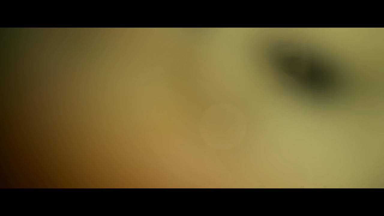 Radiance Trailer (2017) Screen Capture #1