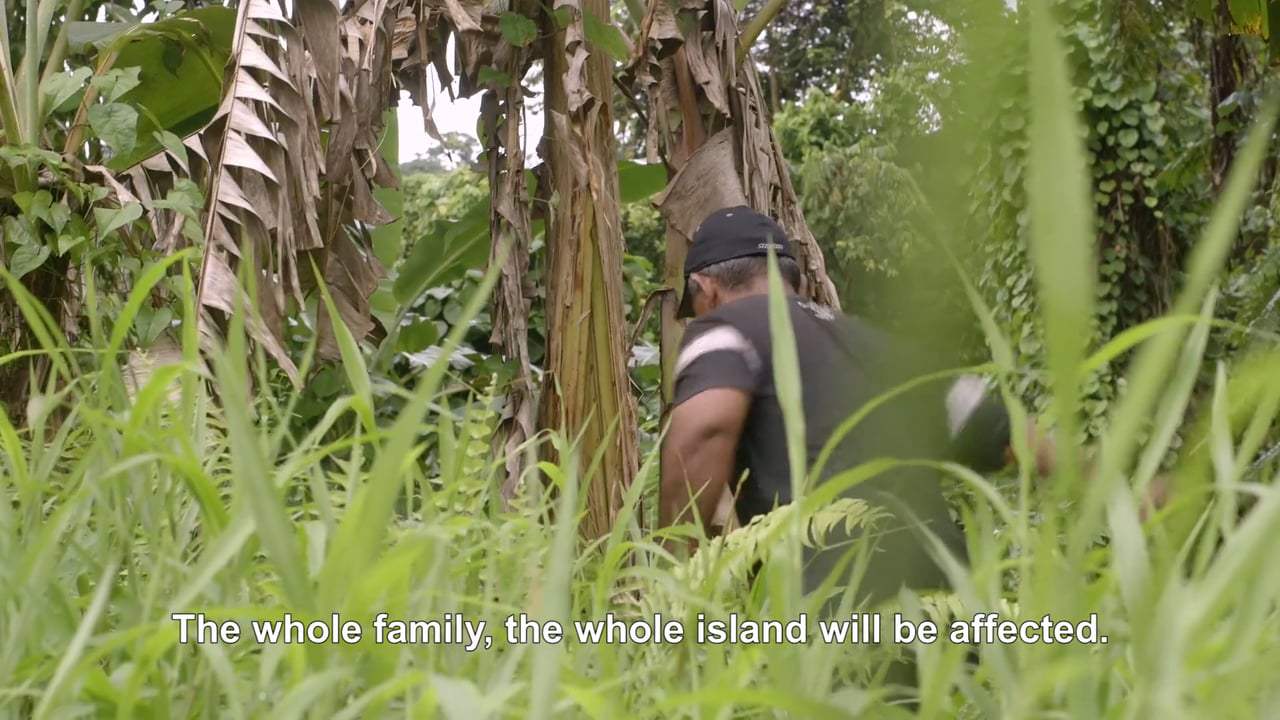 Island Soldier Trailer (2017) Screen Capture #3