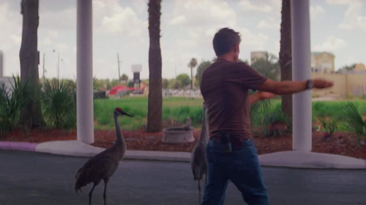 The Florida Project (2018) - No Harm No Fowl Screen Capture #1