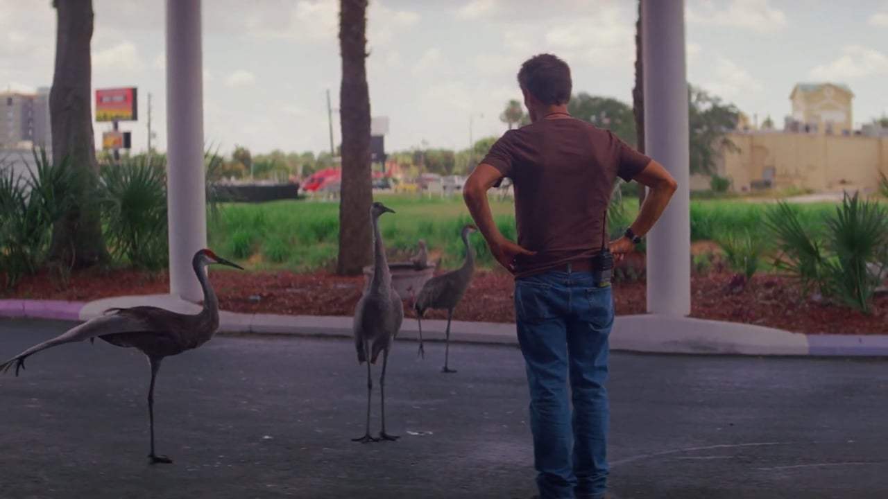 The Florida Project (2018) - No Harm No Fowl Screen Capture #2