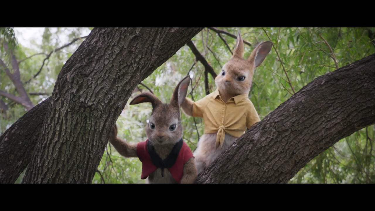 Peter Rabbit Vignette - Mopsy (2018) Screen Capture #2