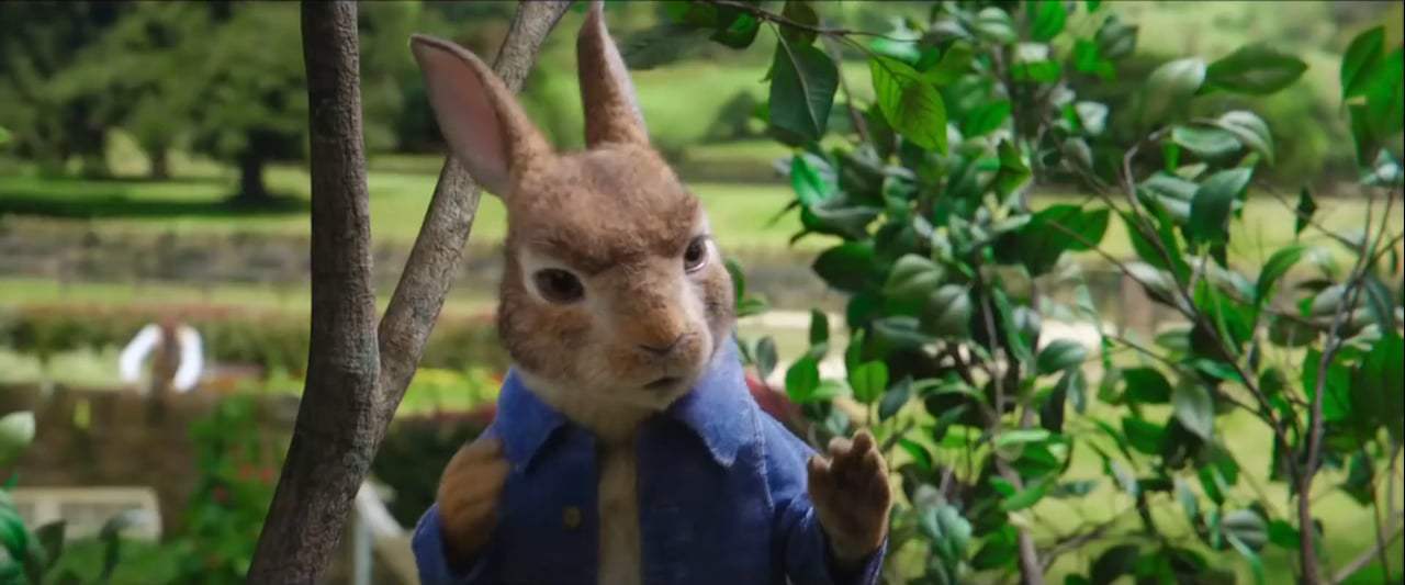 Peter Rabbit TV Spot - Hero (2018) Screen Capture #2