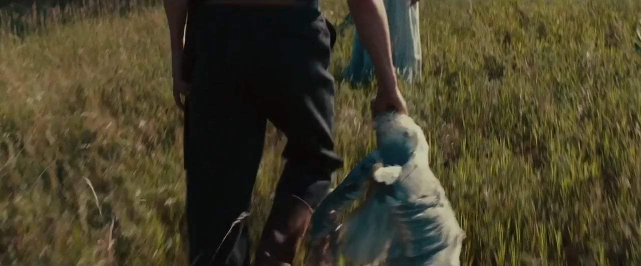 The Seagull Trailer (2018) Screen Capture #2