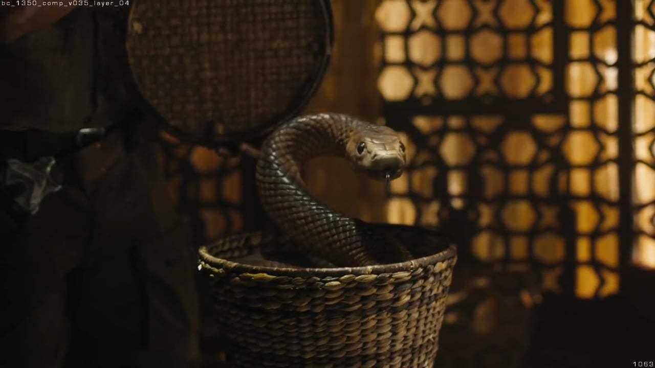 Jumanji: Welcome to the Jungle Featurette - Snake (2017) Screen Capture #1