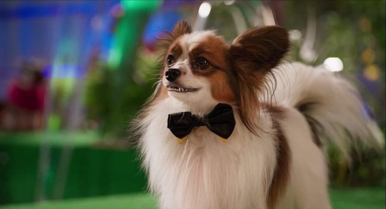 Show Dogs Feature Trailer (2018) Screen Capture #2
