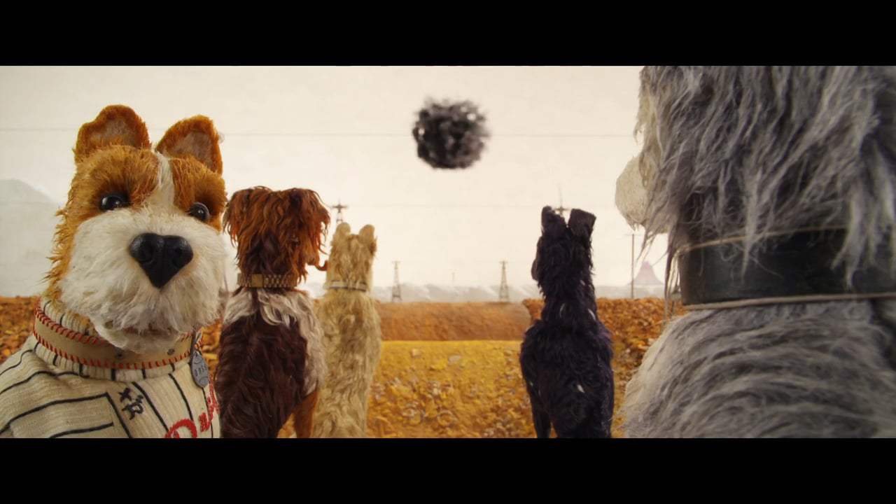 Isle of Dogs TV Spot - We'll Find Him (2018) Screen Capture #4