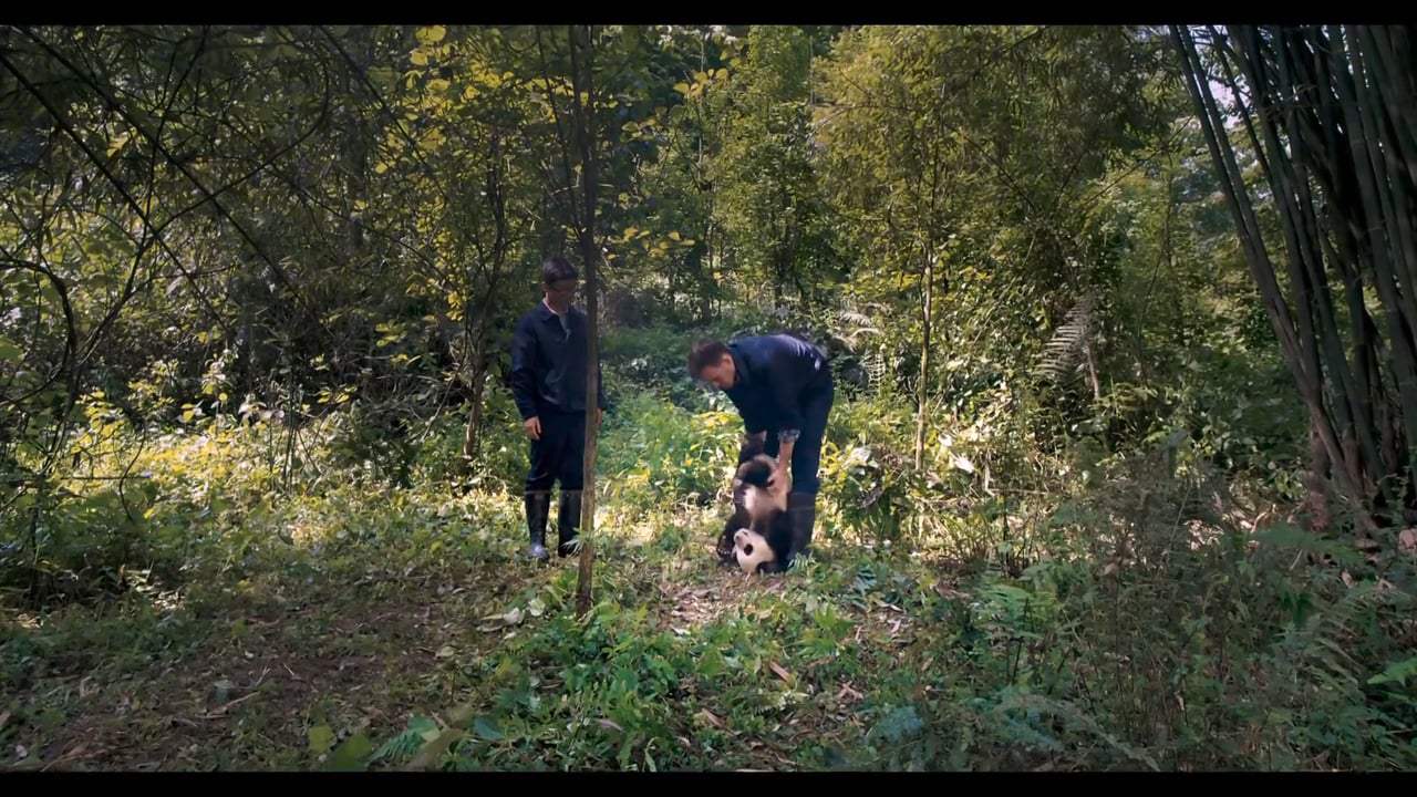 Pandas Featurette - Making Pandas (2018) Screen Capture #3