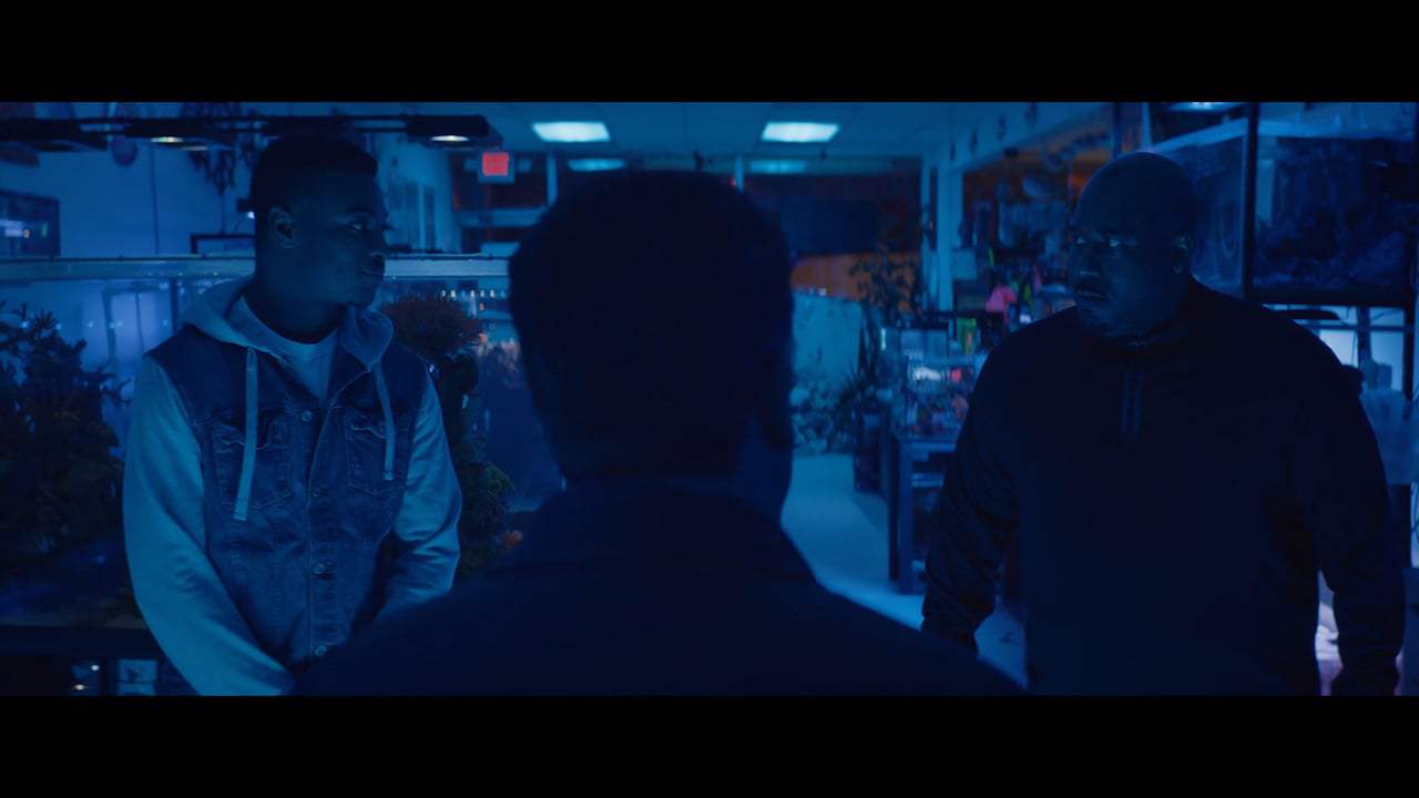 The Assassin's Code Trailer (2018) Screen Capture #1