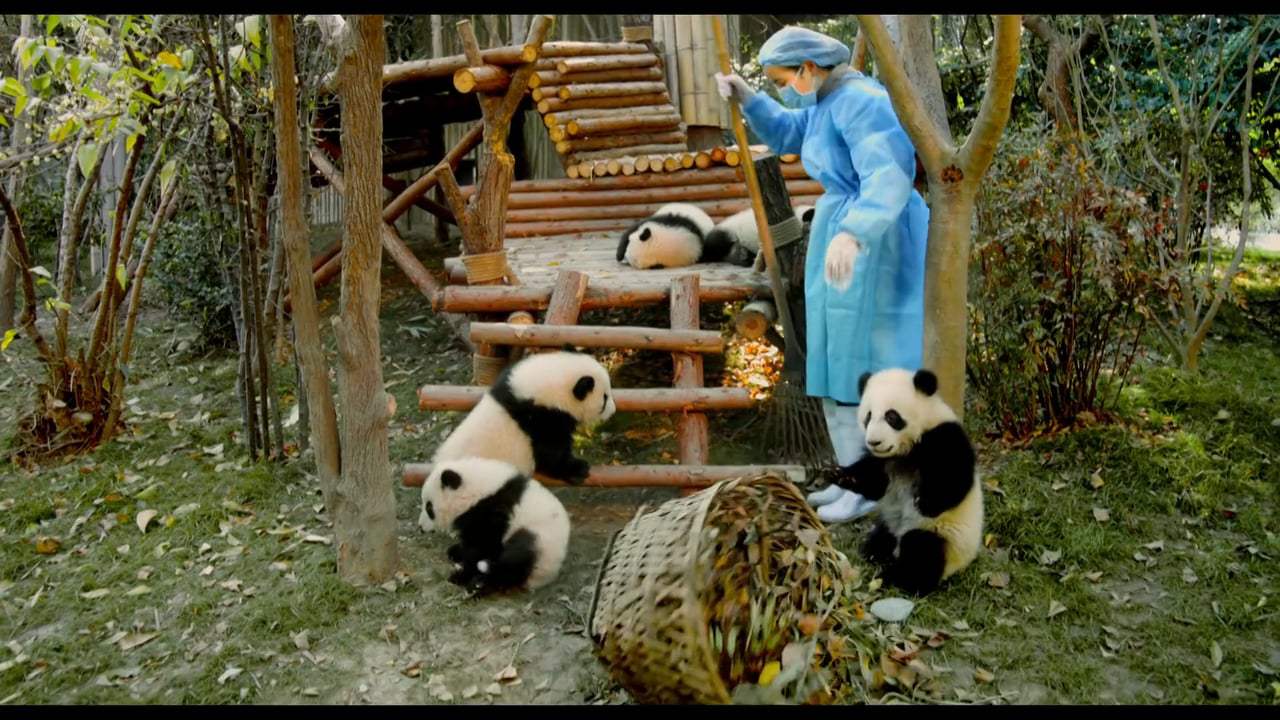 Pandas TV Spot - Mission (2018) Screen Capture #2