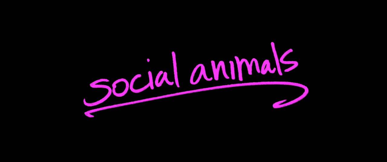 Social Animals Trailer (2018) Screen Capture #4