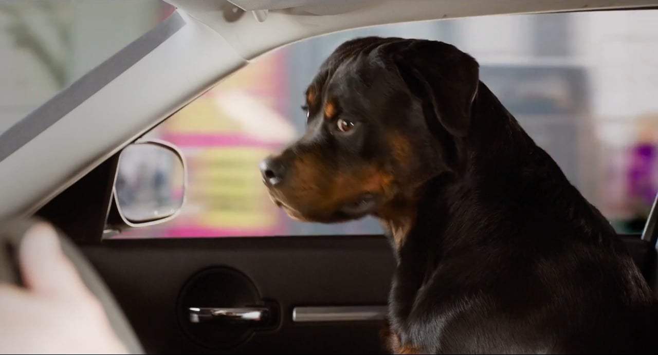 Show Dogs TV Spot - Partners (2018) Screen Capture #1