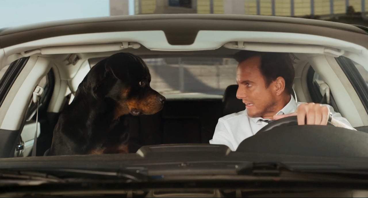 Show Dogs TV Spot - Partners (2018) Screen Capture #2