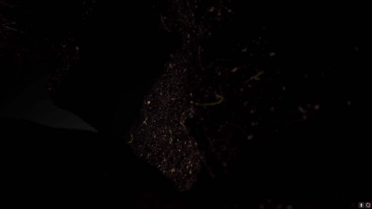 Tree Trailer (2018) Screen Capture #2