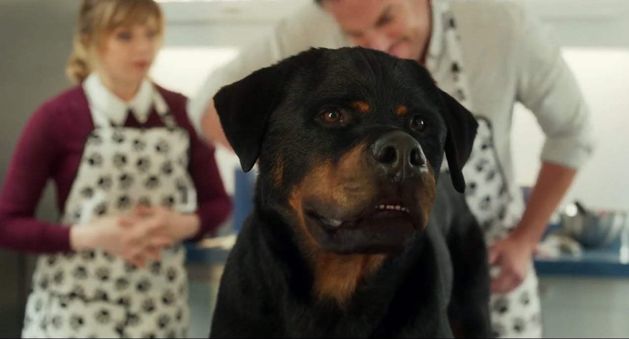 Show Dogs TV Spot - Atomic (2018) Screen Capture #1