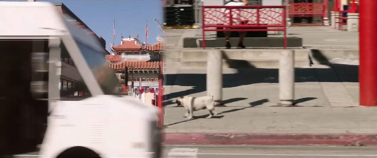 Dog Days Teaser Trailer (2018) Screen Capture #2