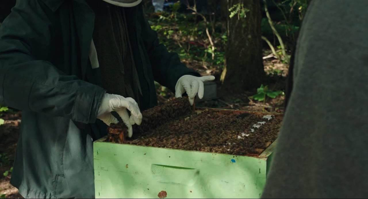 Leave No Trace (2018) - Warmth of the Hive Screen Capture #1