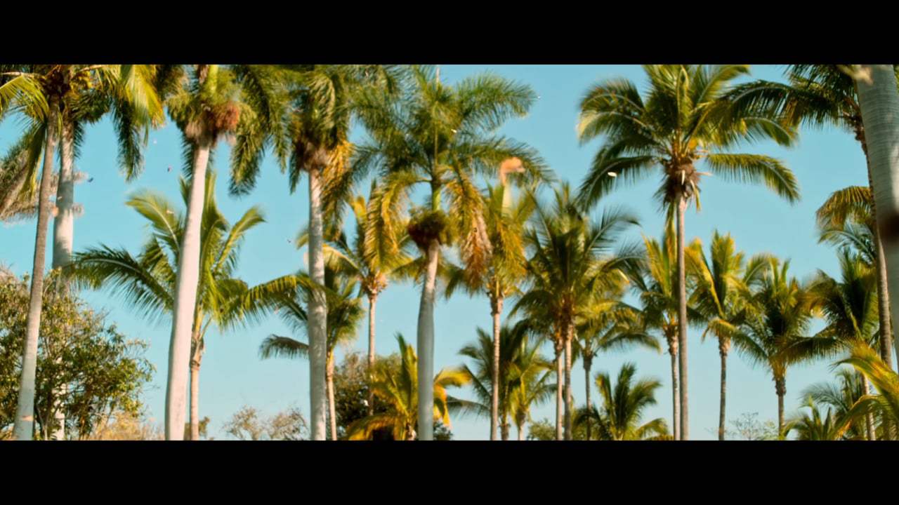 Cuernavaca Trailer (2018) Screen Capture #1