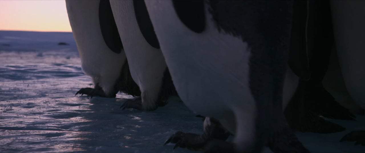 March of the Penguins 2: The Next Step Trailer (2018) Screen Capture #4
