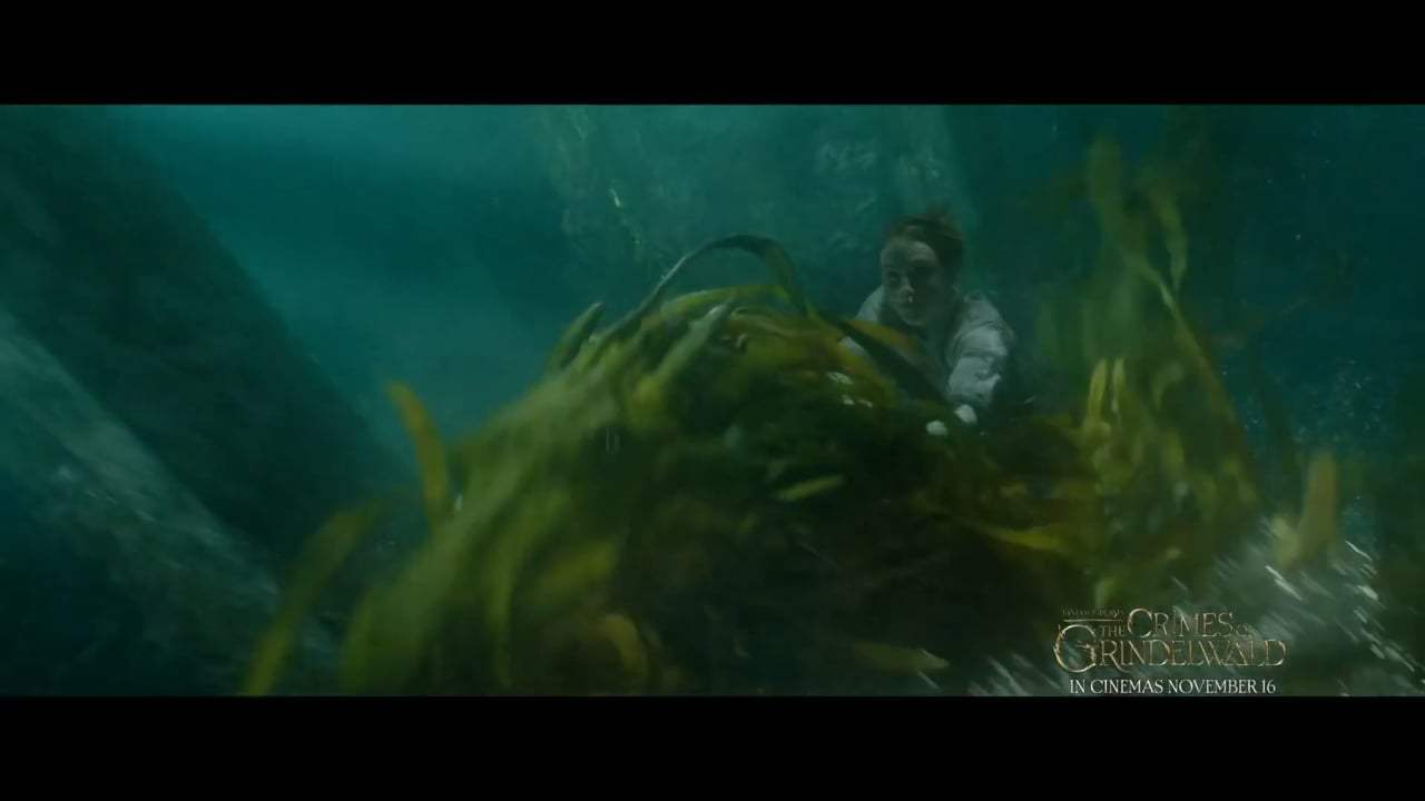 Fantastic Beasts: The Crimes of Grindelwald TV Spot - Hunt (2018) Screen Capture #3