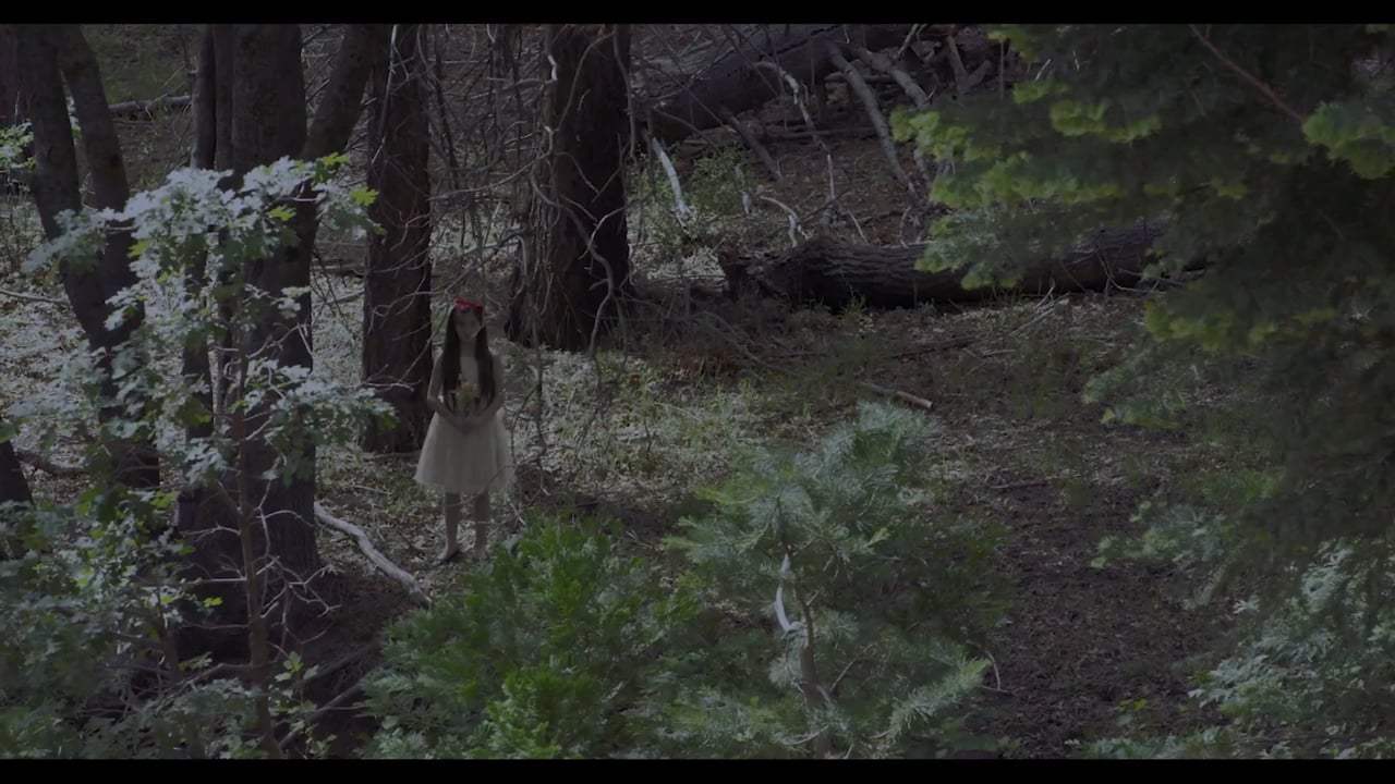 Dry Blood Trailer (2019) Screen Capture #2