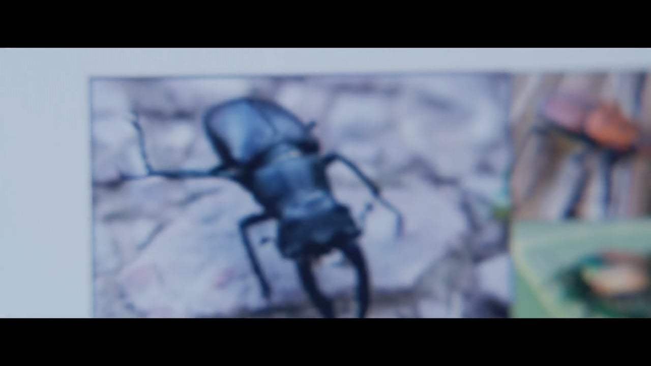 Yesterday Trailer (2019) Screen Capture #2