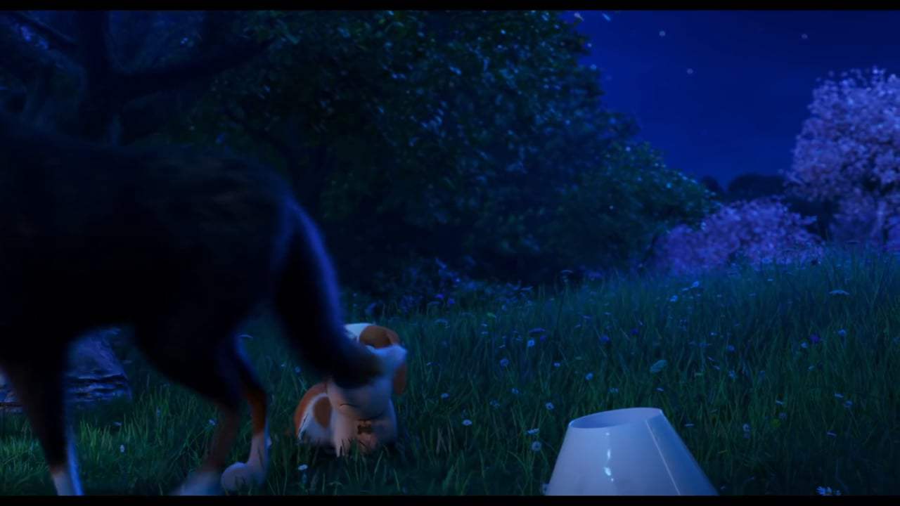 The Secret Life of Pets 2 Rooster Trailer (2019) Screen Capture #4