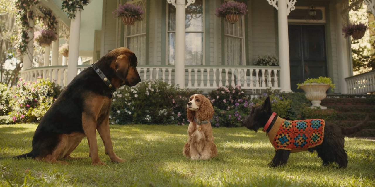 Lady and the Tramp Theatrical Trailer (2019) Screen Capture #2