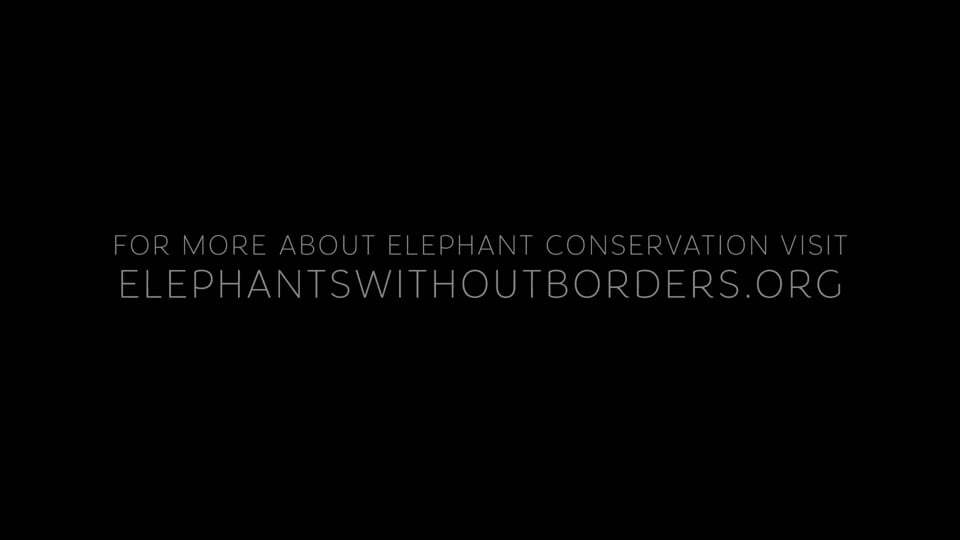Elephant Featurette - Inside Look (2020) Screen Capture #4