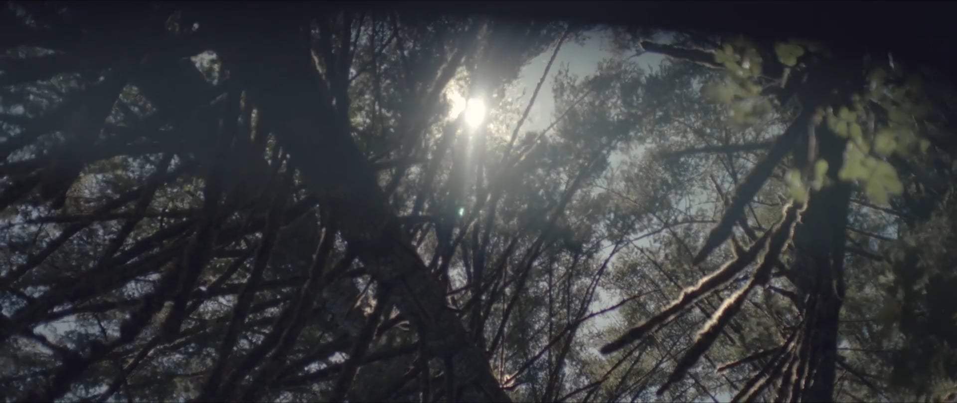 Clementine Trailer (2020) Screen Capture #2