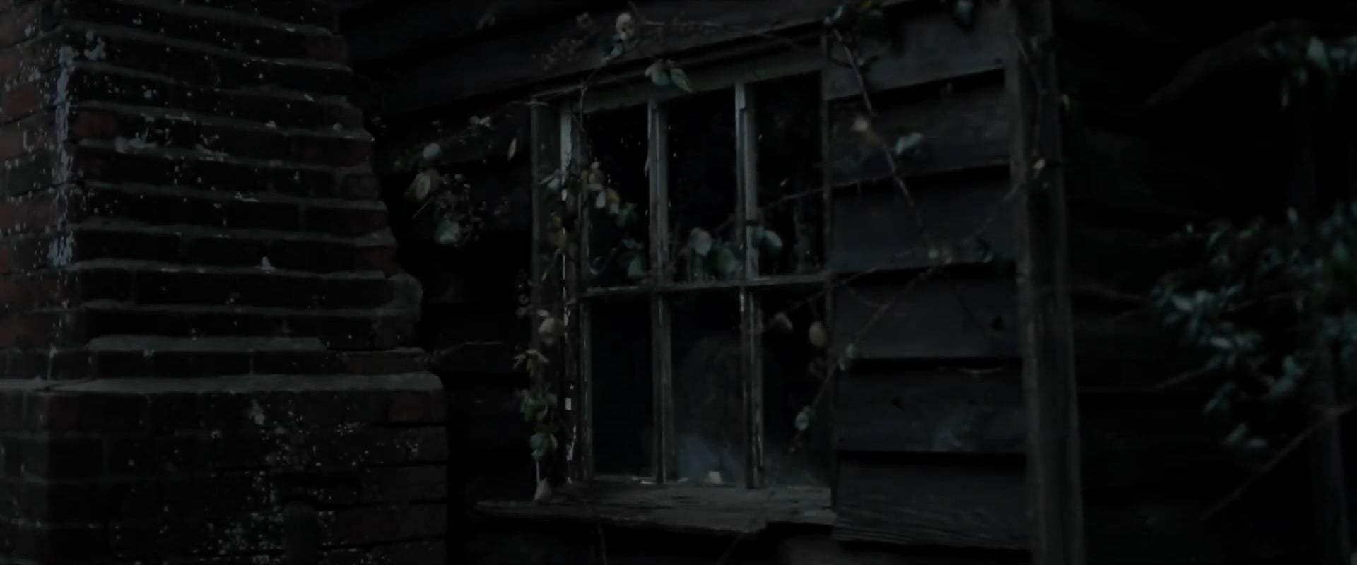 Relic Trailer (2020) Screen Capture #4