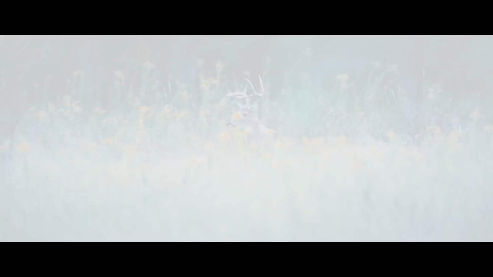 Run Hide Fight Trailer (2021) Screen Capture #1